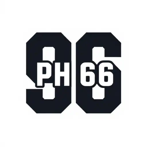 Player Community: Exploring the Impact and Influence of PH96